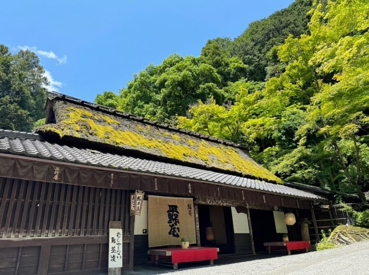 Hiranoya, Saga Toriimoto, Kyoto
